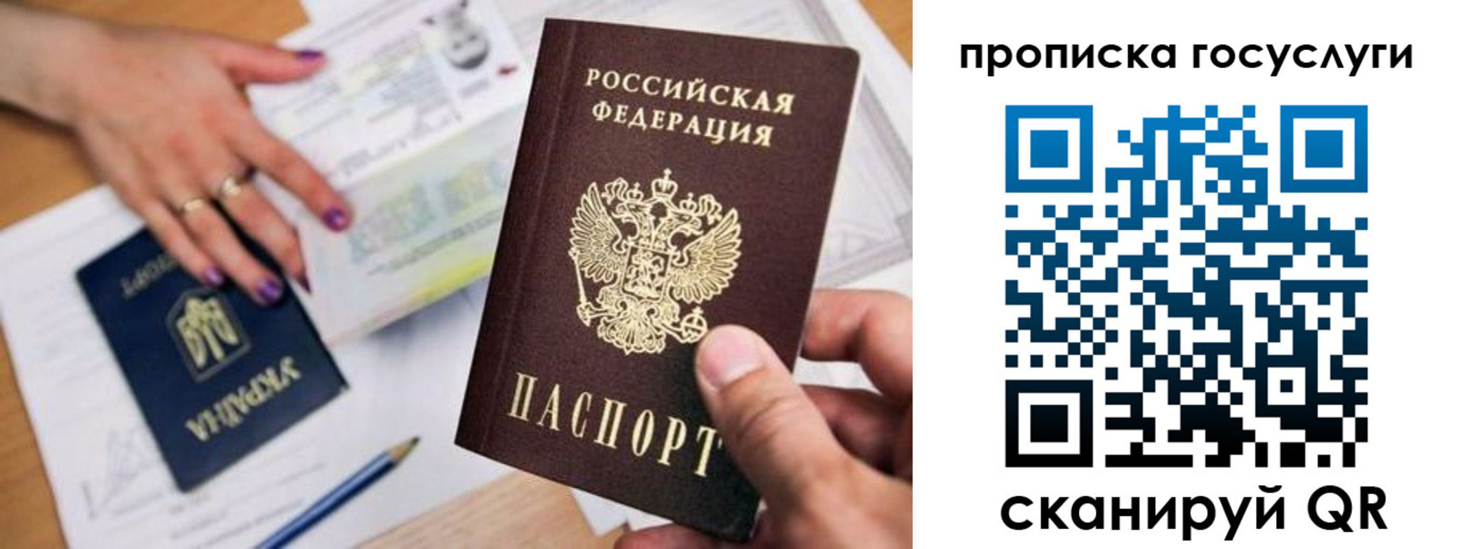 временная прописка в Елизово